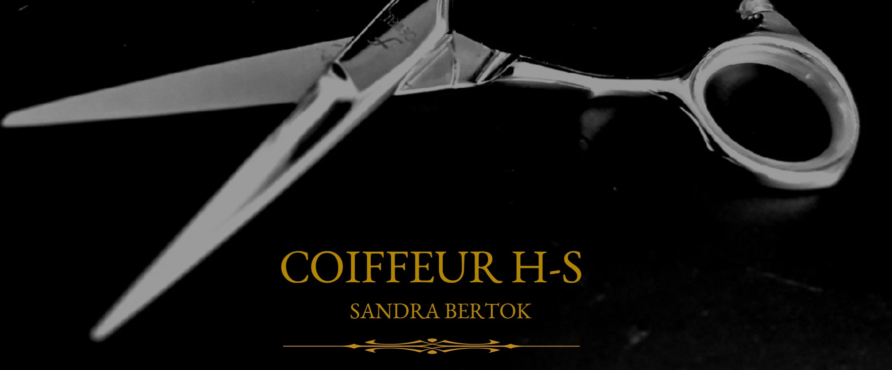 Coiffeur H-S  
