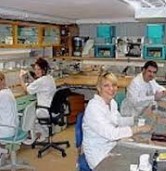 Dentallabor Beate Dobler