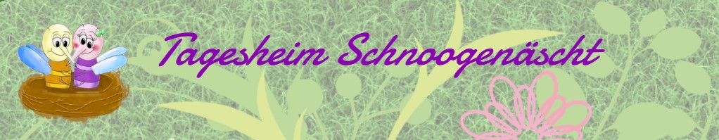 Tagesheim Schnoogenascht GmbH 