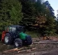 Holzschlagerung und Bringung Daxbock