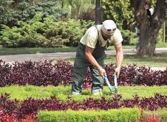 Bau- und Gartenservice Rader