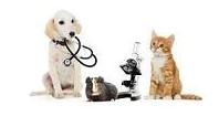 Dr. Alfred Reinbach Tierarztpraxis fur Kleintiere
