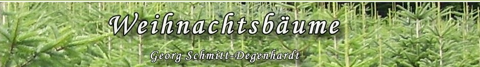 Weihnachtsbaume 