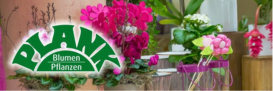 Blumen Plank