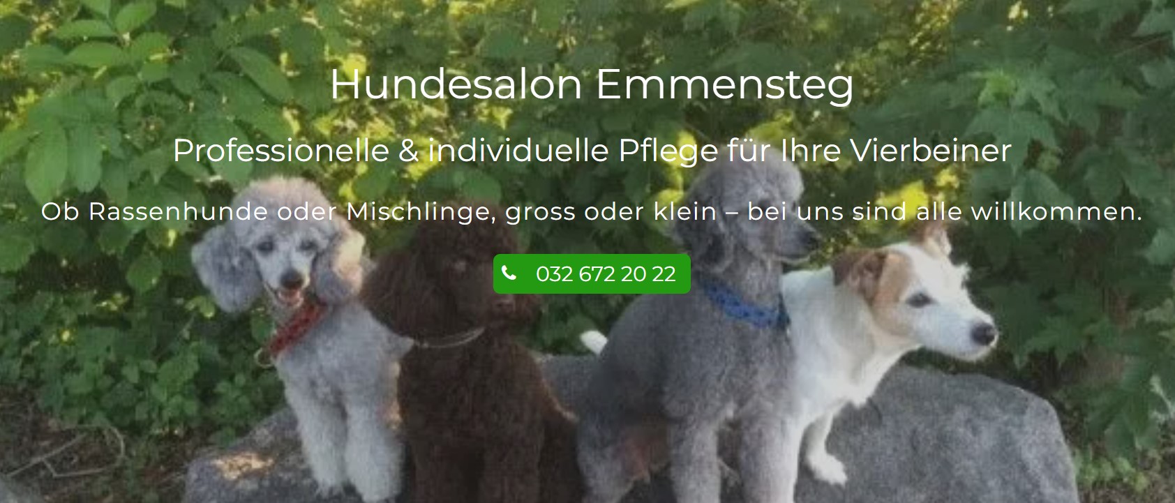 Hundesalon Emmensteg 