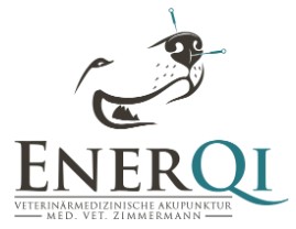 EnerQi