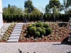 Dieter Hoch Gartenpflege