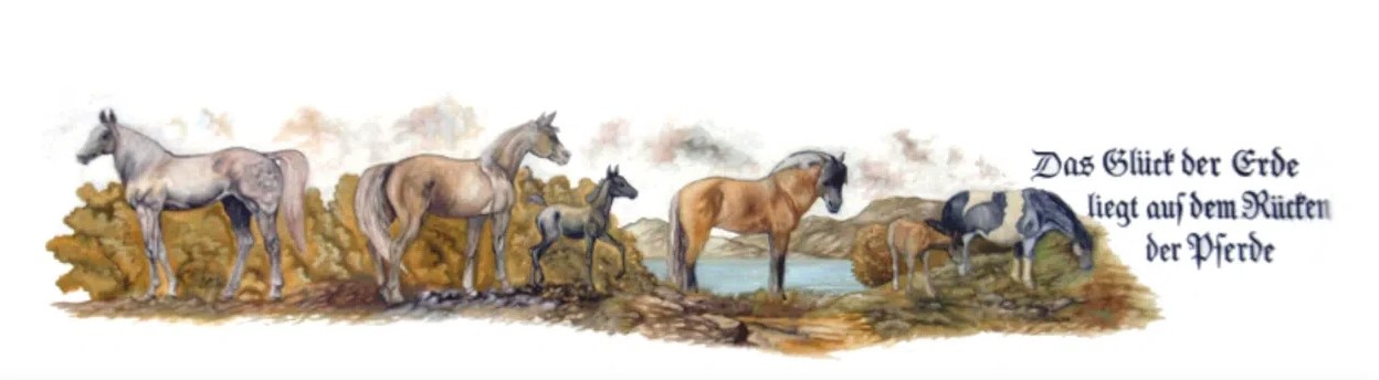 Ponyhof Raitersaich