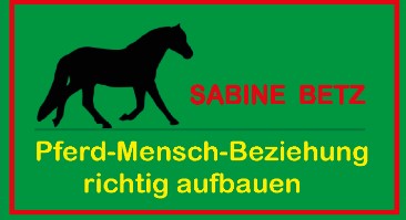 Pferd-Mensch-Beziehung richtig aufbauen
