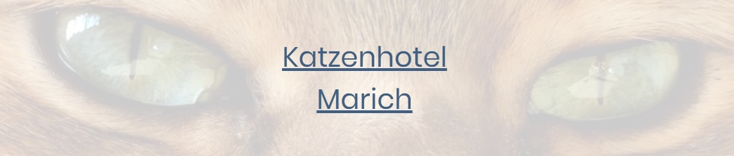 Katzenhotel Marich