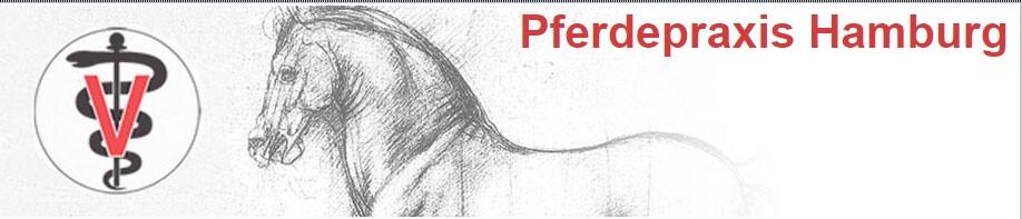 Pferdepraxis Hamburg 