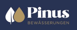Pinus Bewasserungen