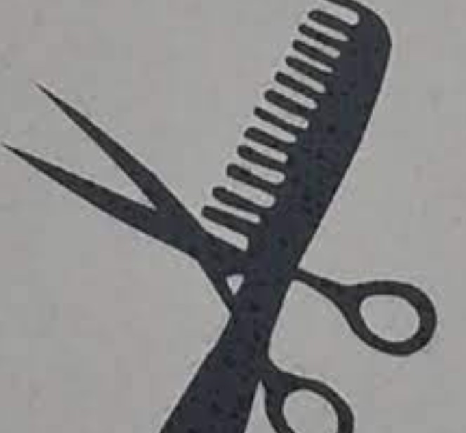 Hundesalon zum Pfotli  