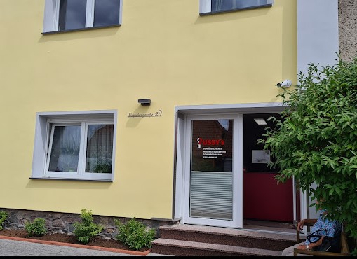 Pussys Schlusseldienst und Hausmeisterservice