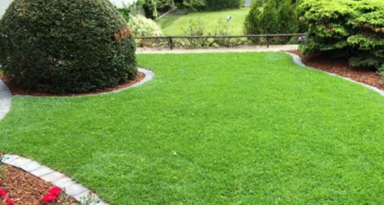 Garten und Landschaftsbau Neef