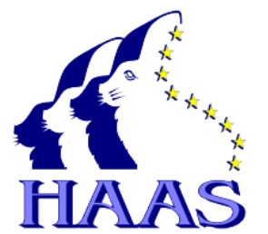 Haas Malerei GmbH