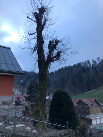 Gahler Gartenbau AG