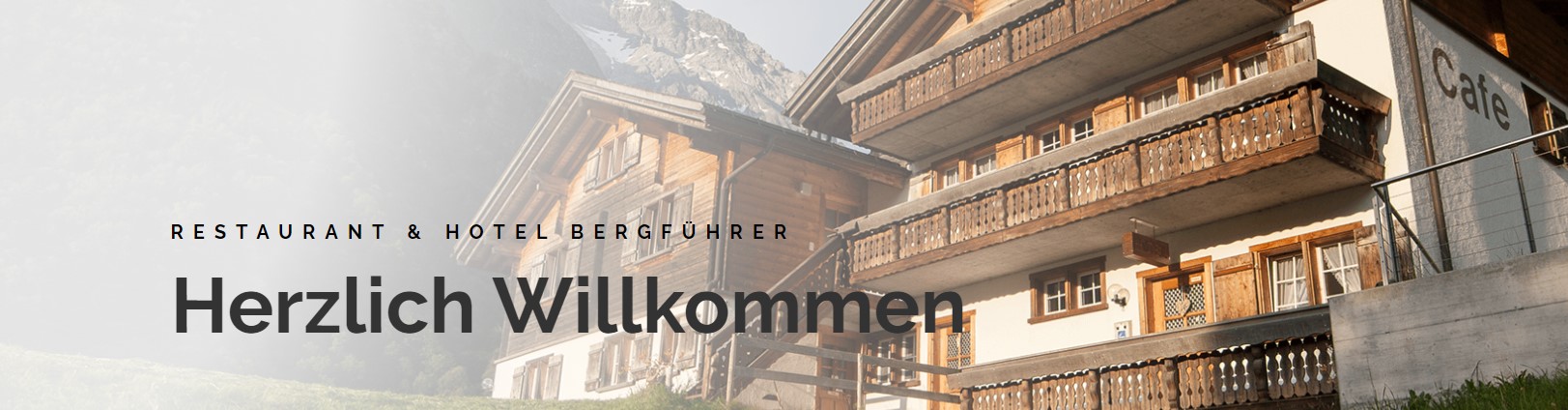 Hotel Bergfuhrer  